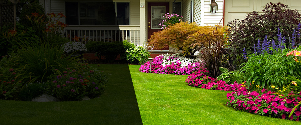 Arthur Landscapers